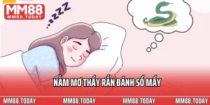 Nằm mơ thấy rắn đánh số mấy